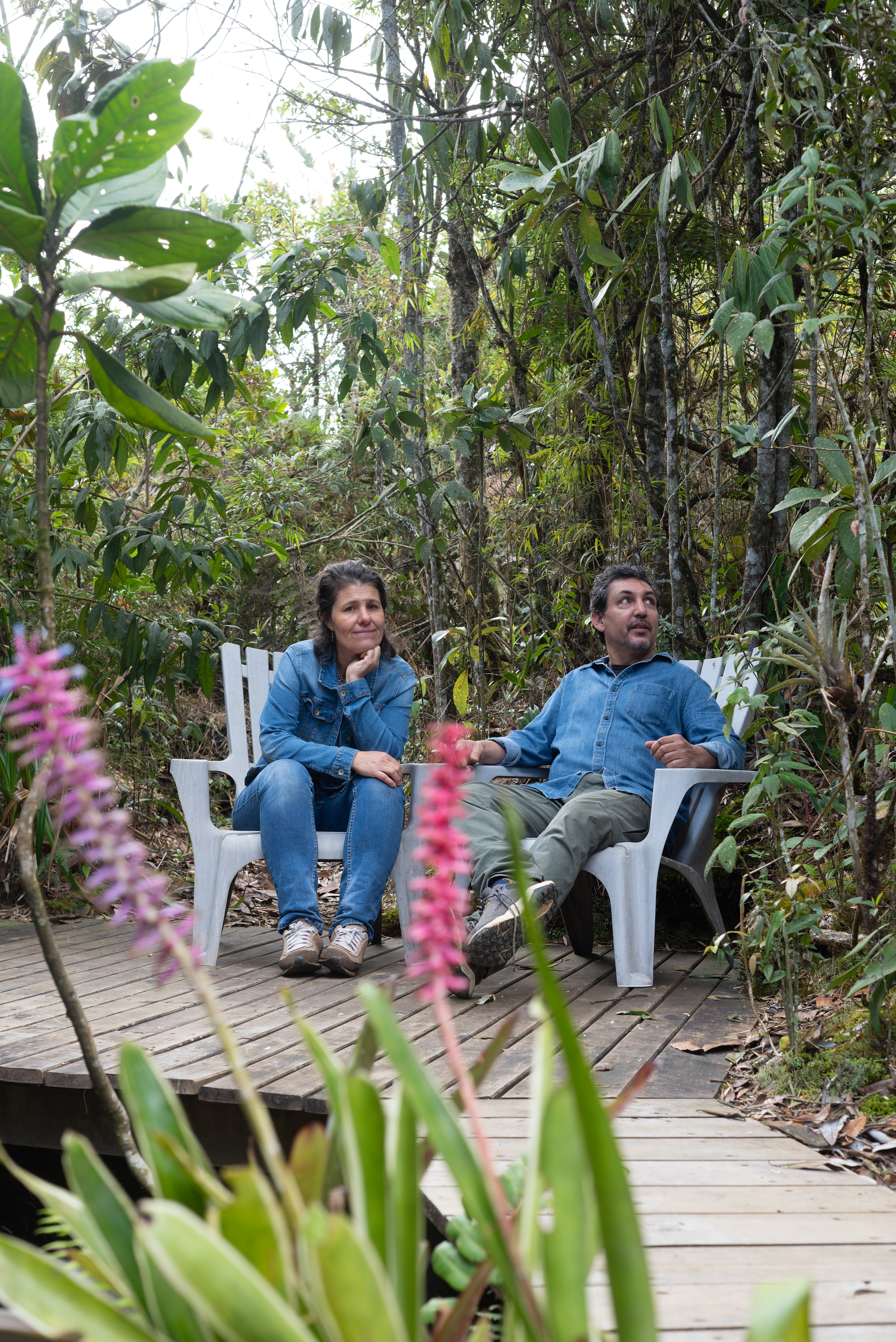 Administración - Detalle